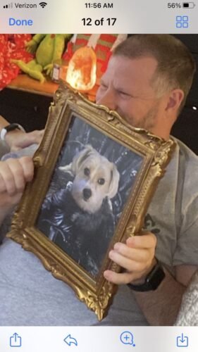 The King in the North photo review