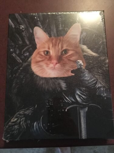 The King in the North photo review