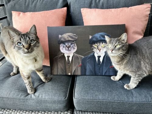 The Gangster Brothers photo review