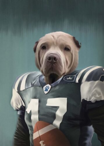 The Football Player photo review