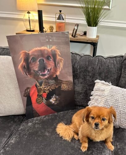 The Major photo review