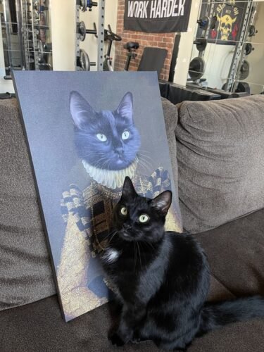 The Dame photo review