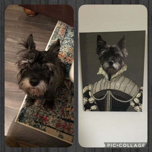 The Pearled Lady photo review