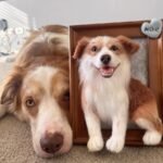 Photo frame half body photo review