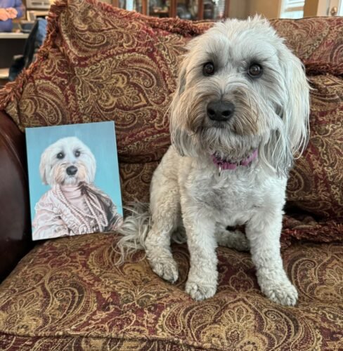 The Queen Regent photo review