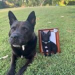 Photo frame half body photo review