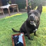 Photo frame half body photo review