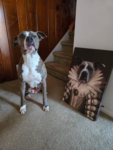 The Sapphire Queen photo review