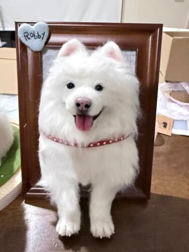 Photo frame half body photo review