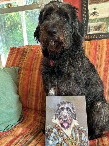 The Sapphire Queen photo review