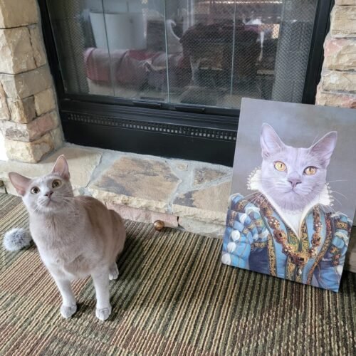 The Sapphire Queen photo review