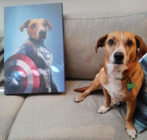 Captain Pawmerica photo review