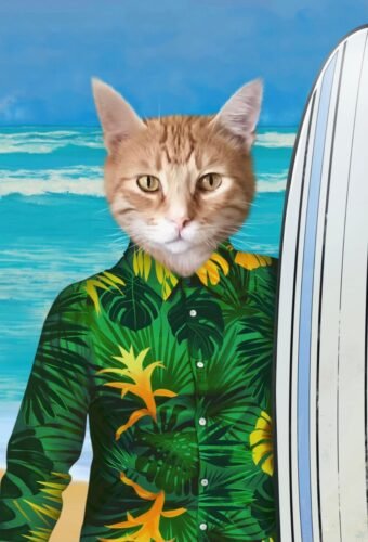 The Surfer photo review