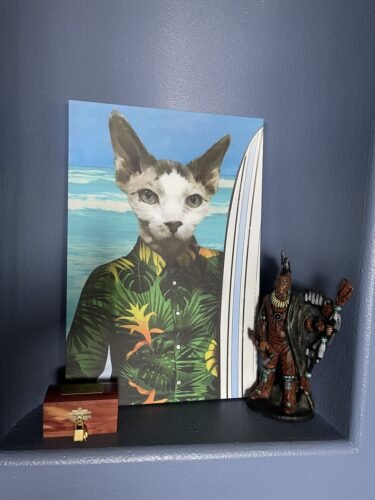 The Surfer photo review