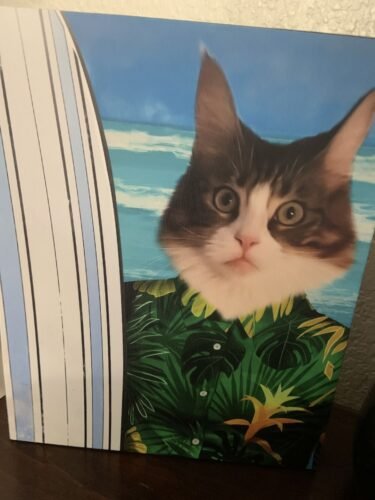 The Surfer photo review