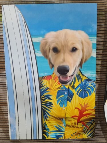 The Surfer photo review