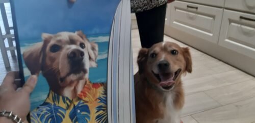 The Surfer photo review