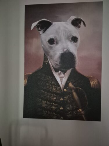 The General photo review