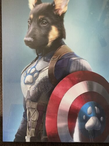 Captain Pawmerica photo review