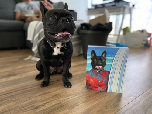 The Surfer photo review