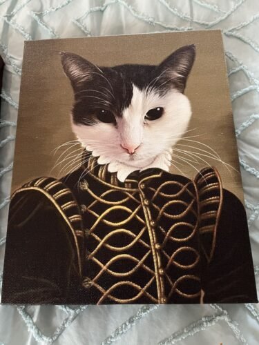 The Noble photo review