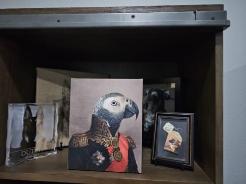 The Major photo review