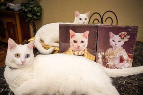 The Sweetheart photo review