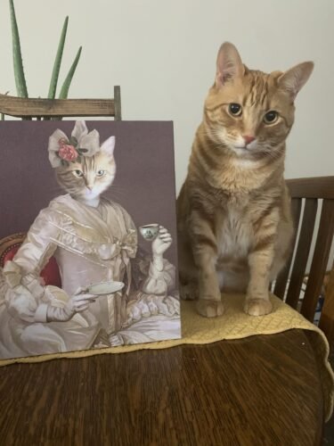 The Sweetheart photo review