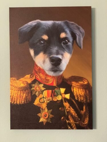 The Veteran photo review