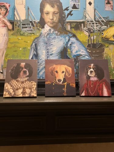 The Veteran photo review