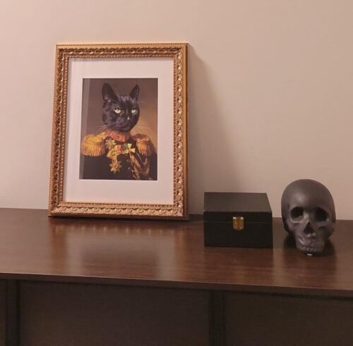 The Veteran photo review