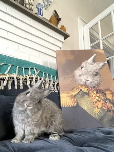 The Colonel photo review