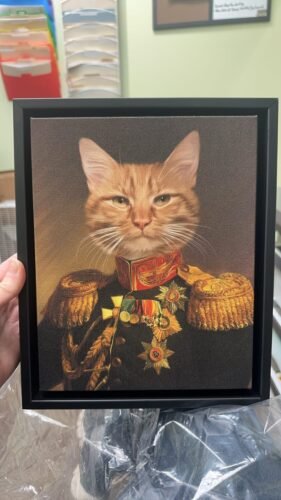 The Veteran photo review