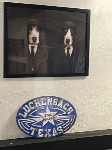 The Gangster Brothers photo review