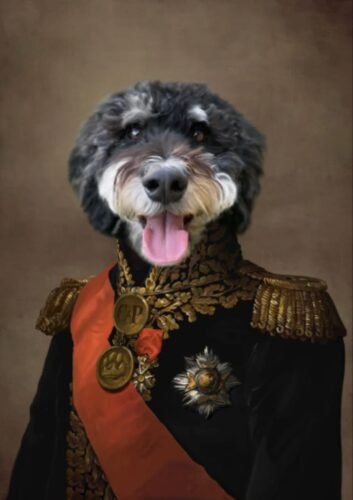 The Major photo review