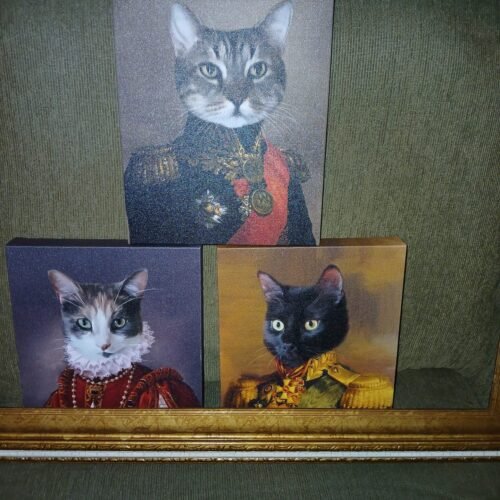 The Major photo review