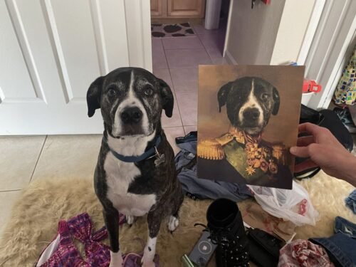 The Colonel photo review