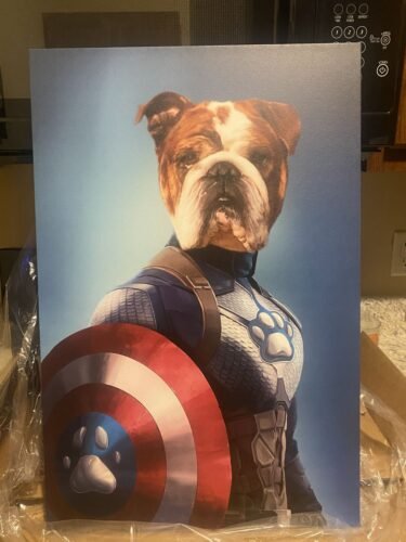 Captain Pawmerica photo review