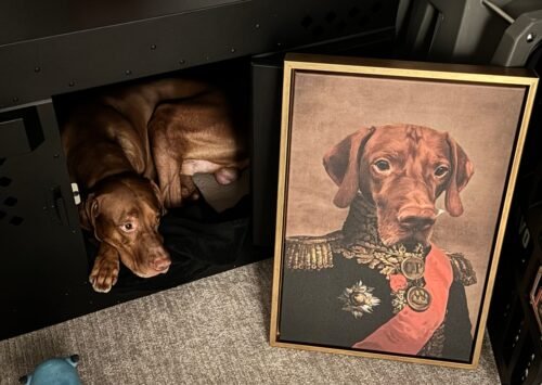 The Major photo review