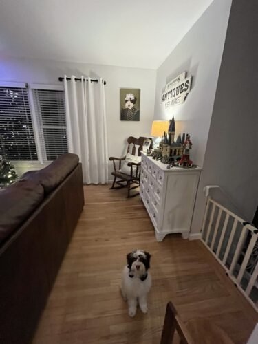 The Noble photo review