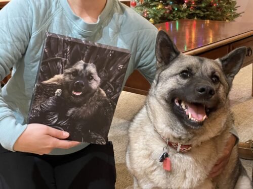 The King in the North photo review