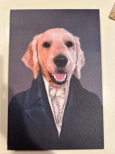 The Aristocrat photo review