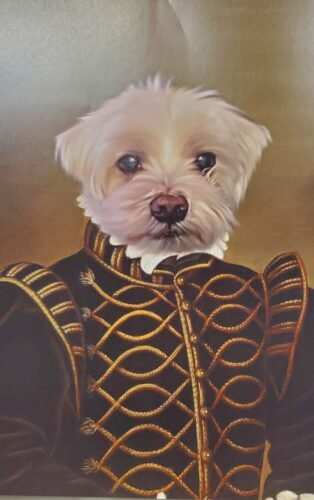 The Noble photo review