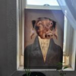 The Colonel photo review