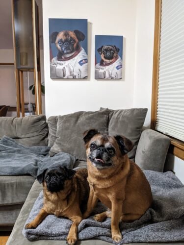 The Astronaut photo review