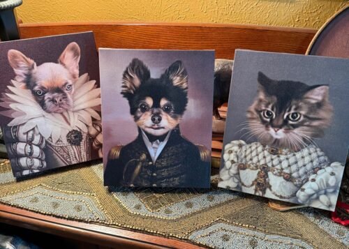 The General photo review