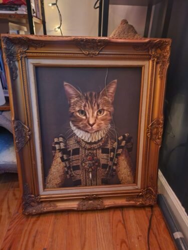 The Dame photo review