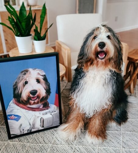 The Astronaut photo review