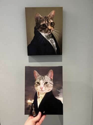 The Count photo review