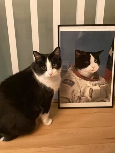 The Astronaut photo review